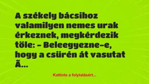 Vicc: A székely bácsihoz valamilyen nemes urak érkeznek, megkérdezik tőle: 
…