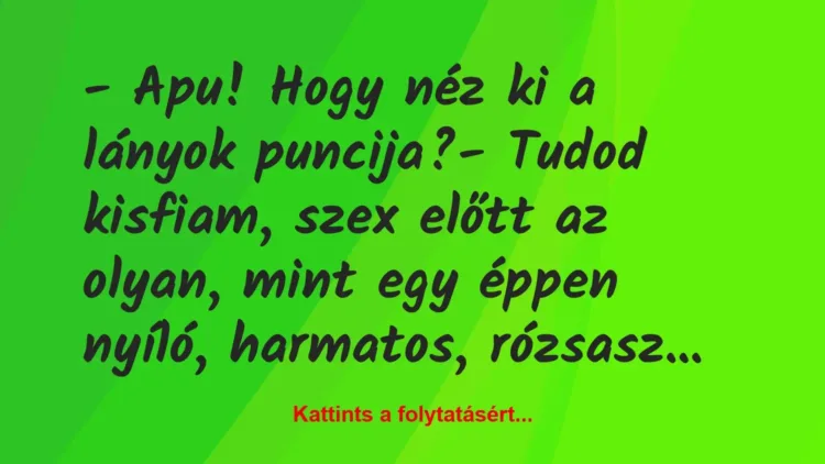 Vicc: – Apu! Hogy néz ki a lányok puncija?
– Tudod kisfiam, szex előtt… Vicc: – Apu! Hogy néz ki a lányok puncija?
– Tudod kisfiam, szex előtt…