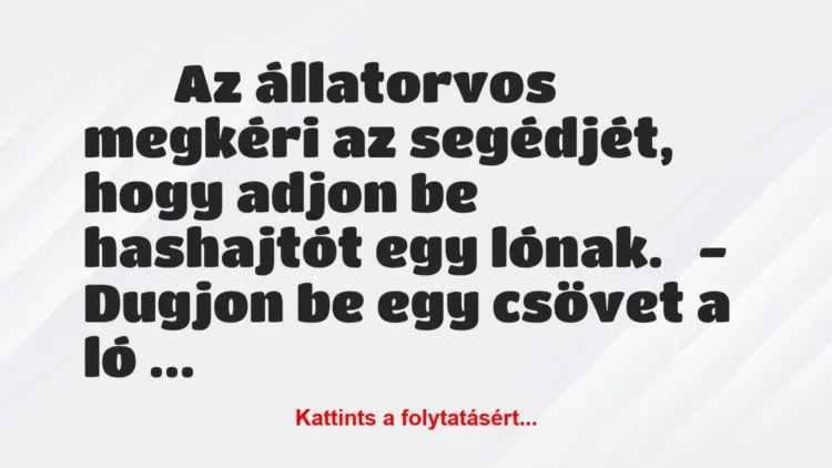 Vicc:
Az állatorvos megkéri az segédjét, hogy adjon be hashajtót … Vicc:
Az állatorvos megkéri az segédjét, hogy adjon be hashajtót …