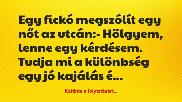 Vicc: Egy fickó megszólít egy nőt az utcán:
– Hölgyem, lenne egy… Vicc: Egy fickó megszólít egy nőt az utcán:
– Hölgyem, lenne egy…