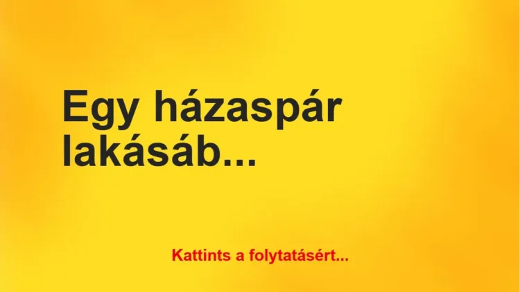 Vicc: Egy házaspár lakásába éjszaka egy betörő mászik be Vicc: Egy házaspár lakásába éjszaka egy betörő mászik be