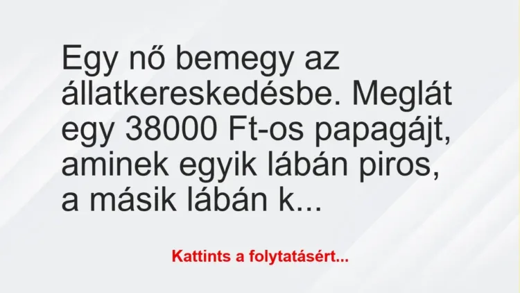 Vicc: Egy nő bemegy az állatkereskedésbe. Meglát egy 38000 Ft-os papagájt, a… Vicc: Egy nő bemegy az állatkereskedésbe. Meglát egy 38000 Ft-os papagájt, a…