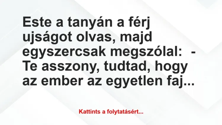Vicc: Este a tanyán a férj ujságot olvas, majd egyszercsak megszólal:
-… Vicc: Este a tanyán a férj ujságot olvas, majd egyszercsak megszólal:
-…
