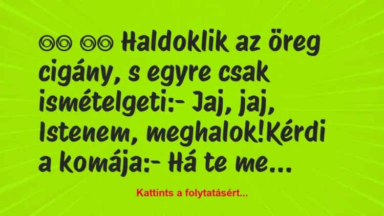 Vicc:
Haldoklik az öreg cigány, s egyre csak… Vicc:
Haldoklik az öreg cigány, s egyre csak…