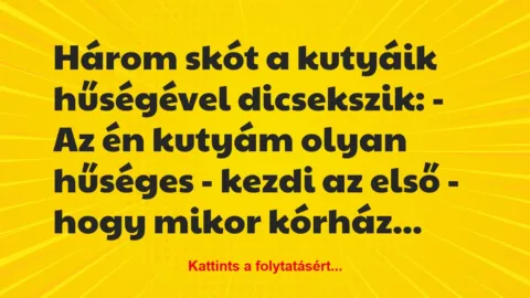 Vicc: Három skót a kutyáik hűségével dicsekszik: 

– Az én kutyám olyan…