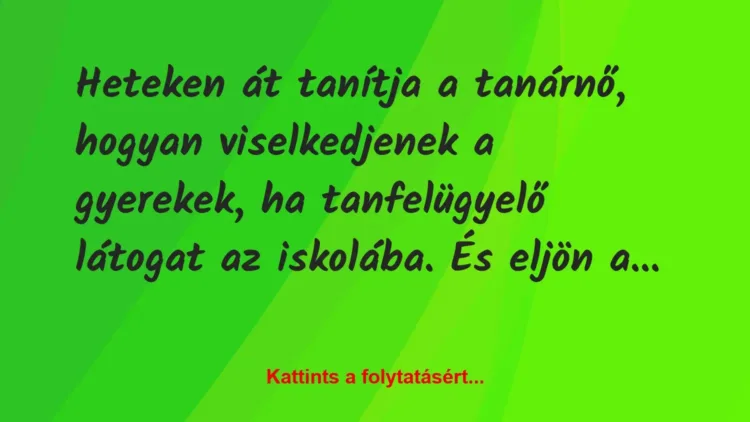 Vicc: Heteken át tanítja a tanárnő, hogyan viselkedjenek a gyerekek, ha… Vicc: Heteken át tanítja a tanárnő, hogyan viselkedjenek a gyerekek, ha…