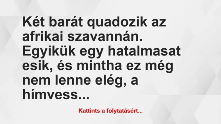 Vicc: Két barát quadozik az afrikai szavannán. Egyikük egy hatalmasat esik,… Vicc: Két barát quadozik az afrikai szavannán. Egyikük egy hatalmasat esik,…