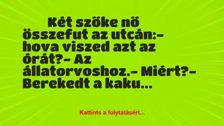 Vicc:
Két szőke nő összefut az utcán:- hova… Vicc:
Két szőke nő összefut az utcán:- hova…