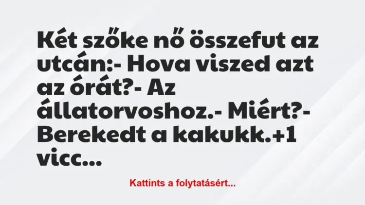 Vicc: Két szőke nő összefut az utcán:
– Hova viszed azt az órát?
-… Vicc: Két szőke nő összefut az utcán:
– Hova viszed azt az órát?
-…