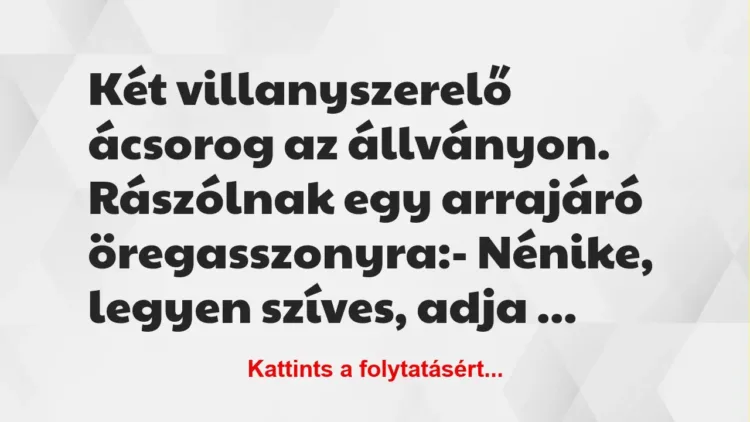 Vicc: Két villanyszerelő ácsorog az állványon. Rászólnak egy arra
járó… Vicc: Két villanyszerelő ácsorog az állványon. Rászólnak egy arra
járó…
