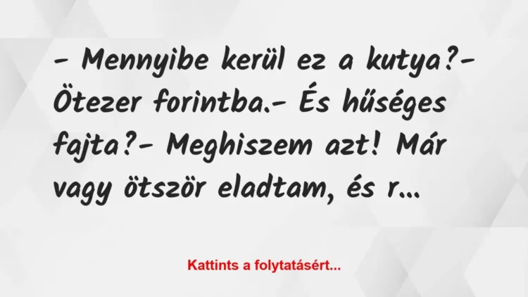 Vicc: – Mennyibe kerül ez a kutya?
– Ötezer forintba.
– És hűséges… Vicc: – Mennyibe kerül ez a kutya?
– Ötezer forintba.
– És hűséges…
