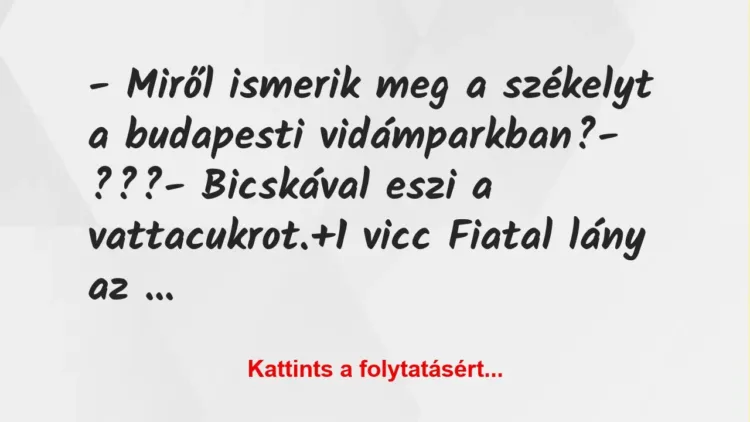 Vicc: – Miről ismerik meg a székelyt a budapesti vidámparkban?
-… Vicc: – Miről ismerik meg a székelyt a budapesti vidámparkban?
-…
