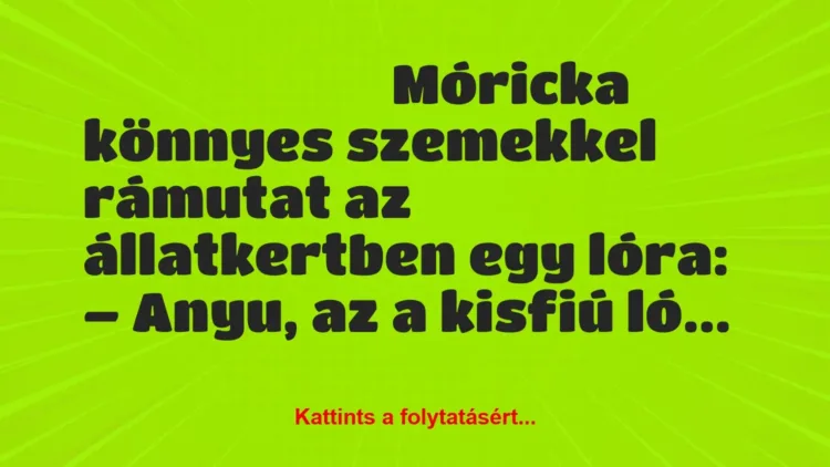 Vicc: Móricka könnyes szemekkel rámutat az állatkertben egy lóra: Vicc: Móricka könnyes szemekkel rámutat az állatkertben egy lóra: