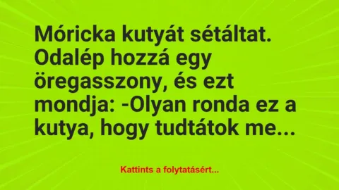 Vicc: Móricka kutyát sétáltat. Odalép hozzá egy öregasszony, és ezt…