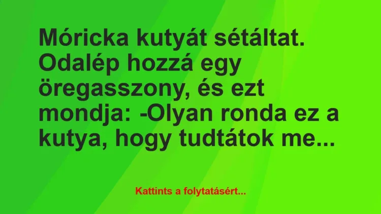 Vicc: Móricka kutyát sétáltat. Odalép hozzá egy öregasszony, és ezt… Vicc: Móricka kutyát sétáltat. Odalép hozzá egy öregasszony, és ezt…