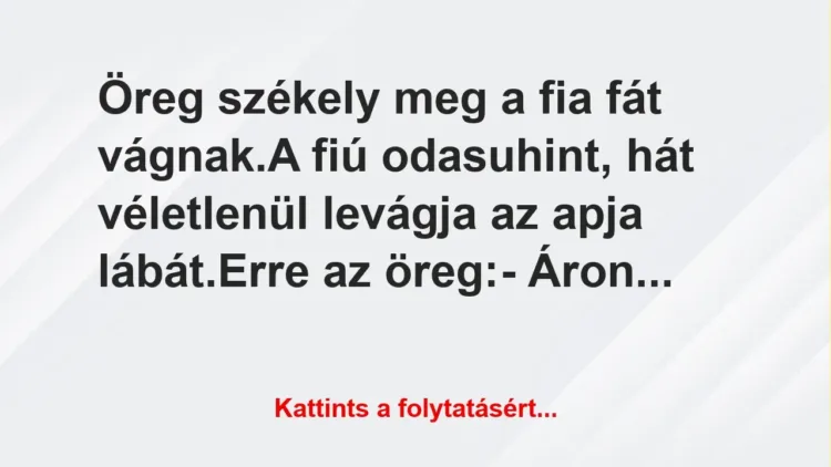 Vicc: Öreg székely meg a fia fát vágnak.
A fiú odasuhint, hát… Vicc: Öreg székely meg a fia fát vágnak.
A fiú odasuhint, hát…