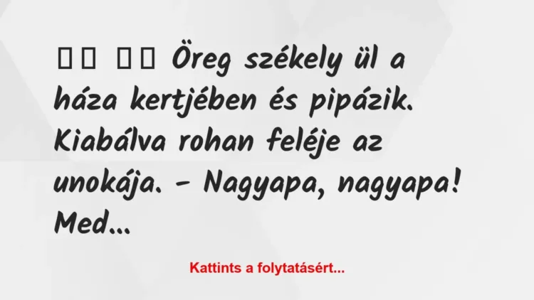Vicc:
Öreg székely ül a háza kertjében és pipázik…. Vicc:
Öreg székely ül a háza kertjében és pipázik….