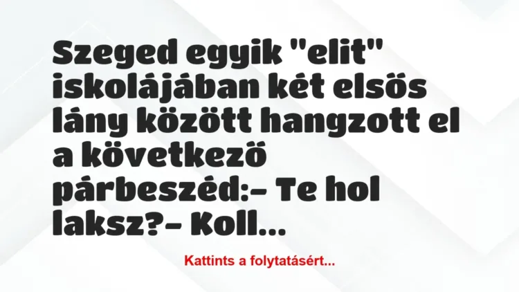 Vicc: Szeged egyik “elit” iskolájában két elsős lány között hangzott el a… Vicc: Szeged egyik “elit” iskolájában két elsős lány között hangzott el a…
