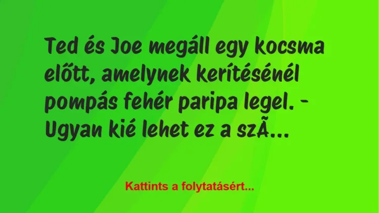 Vicc: Ted és Joe megáll egy kocsma előtt, amelynek kerítésénél pompás fehér… Vicc: Ted és Joe megáll egy kocsma előtt, amelynek kerítésénél pompás fehér…