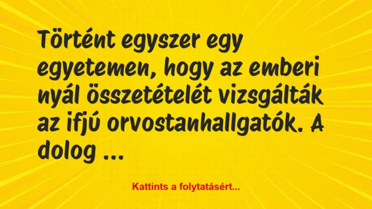Vicc: Történt egyszer egy egyetemen, hogy az emberi nyál összetételét… Vicc: Történt egyszer egy egyetemen, hogy az emberi nyál összetételét…