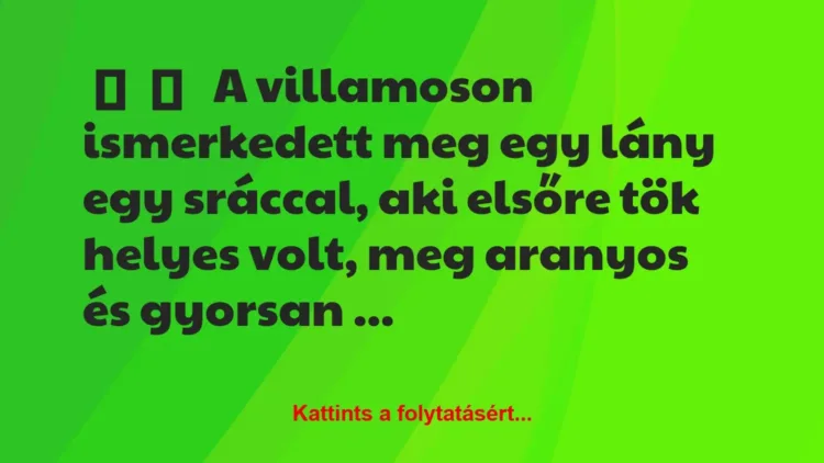 Vicces történet:
A villamoson ismerkedett meg egy lány … Vicces történet:
A villamoson ismerkedett meg egy lány …