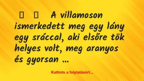 Vicces történet: 
	    	    


A villamoson ismerkedett meg egy lány …