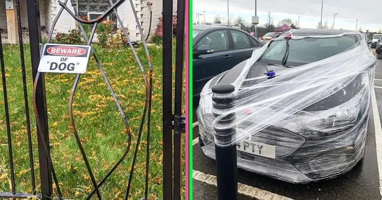 17 alkalom, amikor az univerzum hirtelen kiszámíthatatlan dolgokkal...