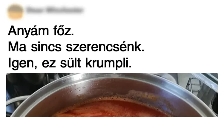 18 ember, akik nagyon szeretnek főzni, csak egyáltalán nem tudnak... 18 szenvedélyes konyhai kísérlet, amiből nem lett ételecskénk…