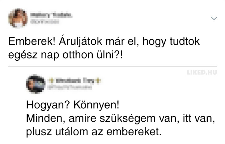 Kommentelő 8