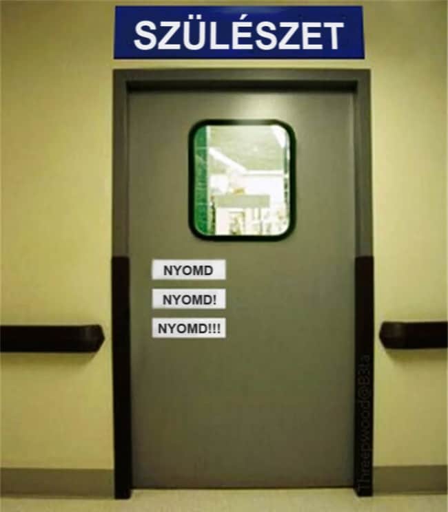 Gesztus