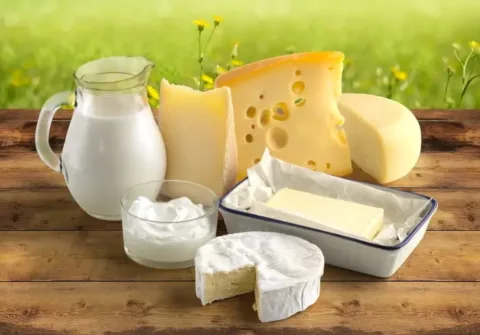 Tejtermékek tárolása: Tippek a szavatossági idő növelésére