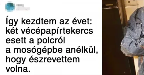 24 eset, amikor a mosás rutin feladatnak indult, ám hamar 24 alkalom, amikor a mosás egyszerű feladatról váratlan rémálommá vált.