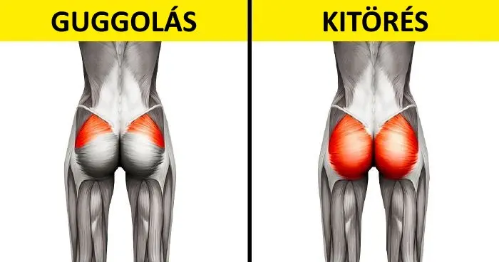 12 tény a fitneszről, amit a személyi edződ aligha fog 12 edzésre vonatkozó titok, amit a személyi edződ szeretne eltitkolni