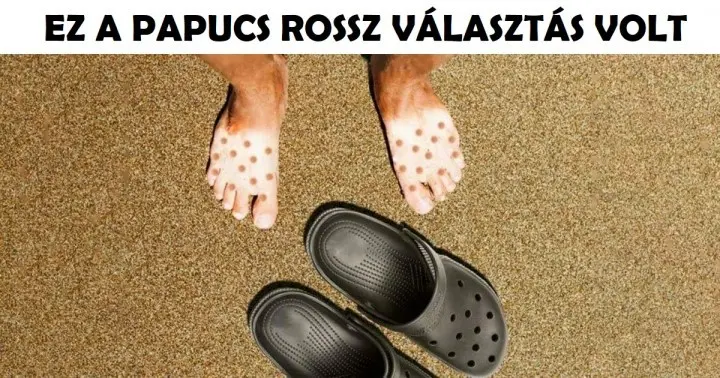 17 harsány felvétel, amelyet őszintén mindannyian hívhatnánk úgy, hogy...... 17 meglepő fotó, amit bátran nevezhetünk úgy: “…Hát ez van!”