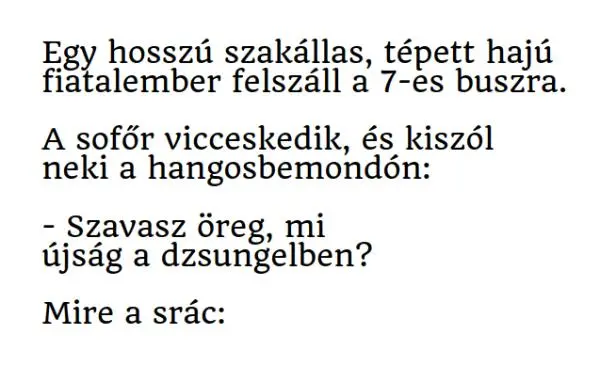 Vicc: Egy hosszú szakállas, tépett hajú fiatalember felszáll a 7-es... Vicc: Egy hosszú szakállas, tépett hajú fiatalember felszáll a 7-es…