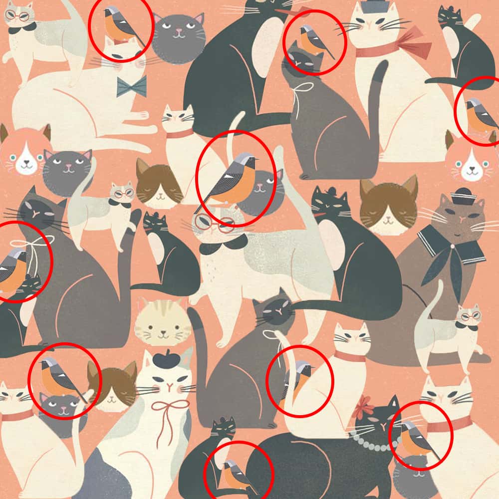 optikai-illuzio-macska-madar | Marie Claire optikai-illuzio-macska-madar