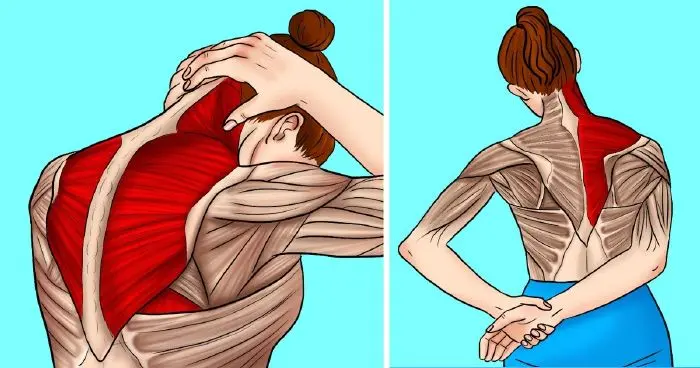 11 nyújtógyakorlat a nyak- és vállmerevség enyhítésére 11 hatékony nyújtógyakorlat a nyak- és vállmerevség leküzdéséhez