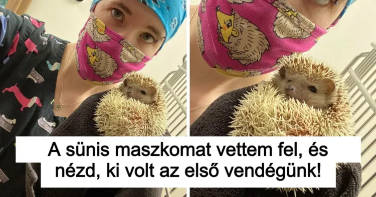20 kép, ami könnyen lehet a jó hangulat forrása 20 pillanat, amely boldogságot csempész a mindennapokba