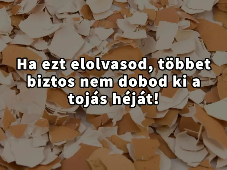 Ha ezt elolvasod, többet biztos nem dobod ki a tojás Tudtad? A tojás héjának hihetetlenül sok előnyös tulajdonsága van!