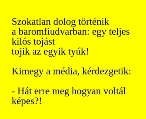 Vicc: A baromfiudvarban egykilós tojást tojik az egyik tyúk Vicc: A baromfiudvarban egykilós tojást tojik az egyik tyúk