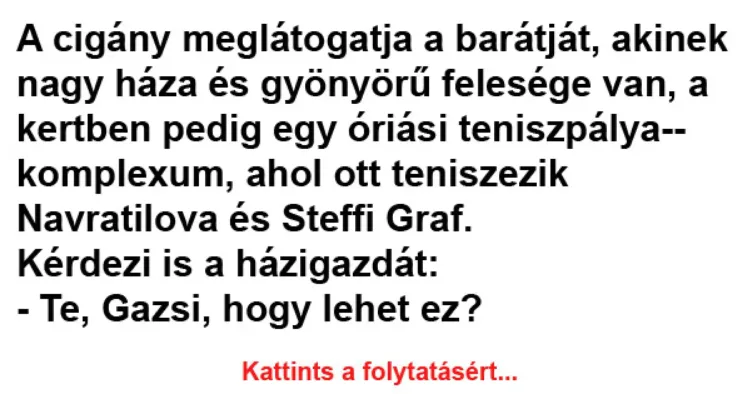 Vicc: A cigány meglátogatja a barátját Vicc: A cigány meglátogatja a barátját