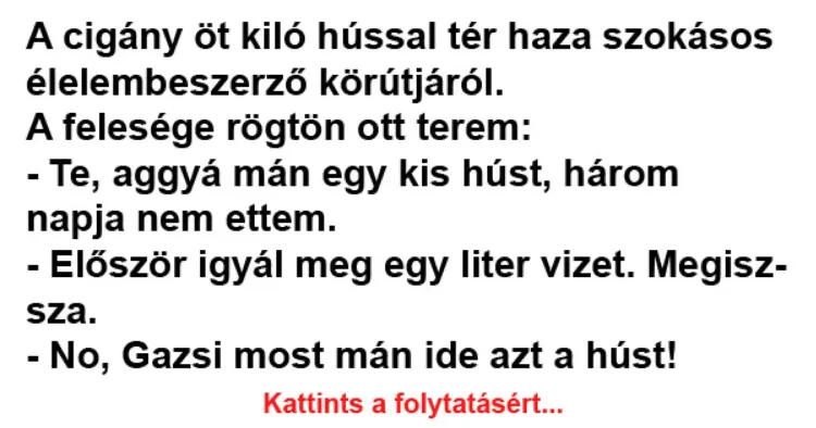 Vicc: A cigány öt kiló hússal tér haza szokásos élelembeszerző Vicc: A cigány öt kiló hússal tér haza szokásos élelembeszerző körútjáról