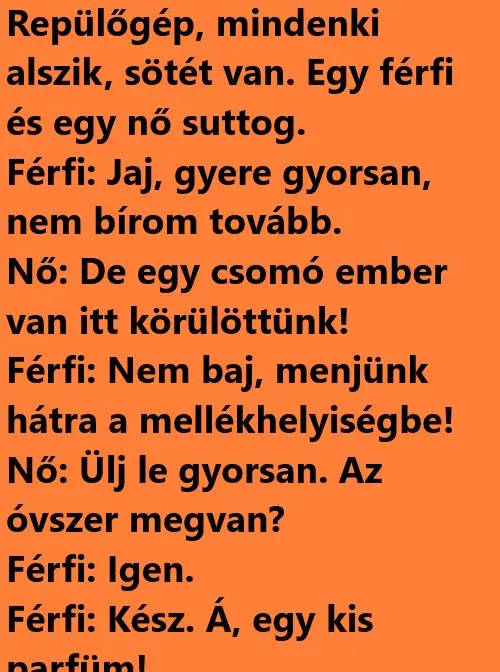 Vicc: A drága, gyönyörűséges királylány a tó partján Vicc: A drága, gyönyörűséges királylány a tó partján