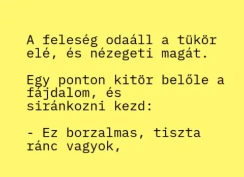 Vicc: A feleség a tükör előtt nézegeti magát. Egy ponton Vicc: A feleség a tükör előtt nézegeti magát. Egy ponton kitör belőle…
