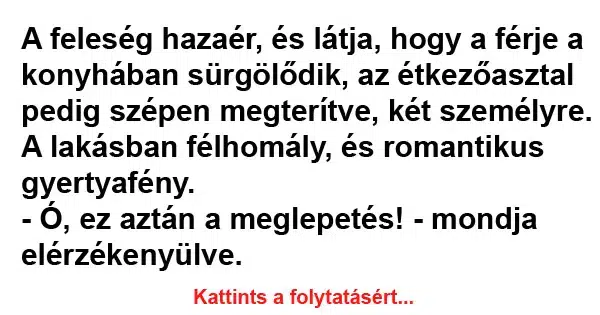 Vicc: A feleség hazaér, és látja, hogy a férje a Vicc: A feleség hazaér, és látja, hogy a férje a konyhában sürgölődik