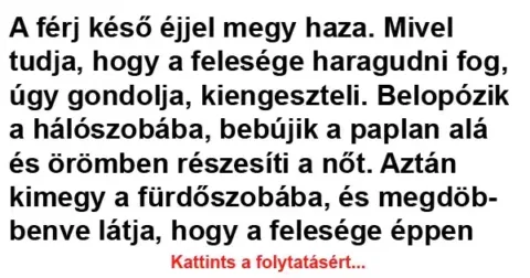 Vicc: A férj késő éjjel megy haza. Mivel tudja, hogy a felesége…