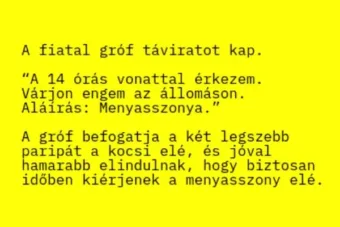 Vicc: A fiatal gróf táviratot kap, hogy a délutáni vonattal érkezik a…