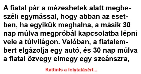 Vicc: A fiatal pár a mézeshetek alatt megbeszéli egymással Vicc: A fiatal pár a mézeshetek alatt megbeszéli egymással