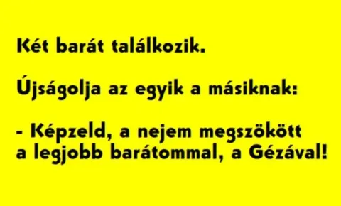 Vicc: A nejem megszökött a legjobb barátommal, a Gézával Vicc: A nejem megszökött a legjobb barátommal, a Gézával