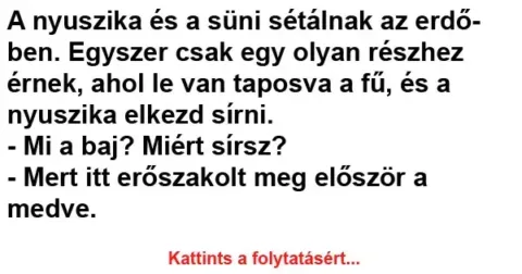 Vicc: A nyuszika és a süni sétálnak az erdőben